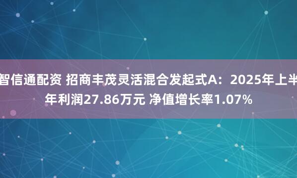 智信通配资 招商丰茂灵活混合发起式A：2025年上半年利润27.86万元 净值增长率1.07%