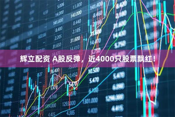 辉立配资 A股反弹，近4000只股票飘红！
