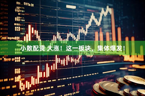 小散配资 大涨！这一板块，集体爆发！