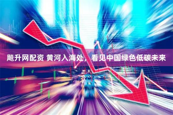 飚升网配资 黄河入海处，看见中国绿色低碳未来