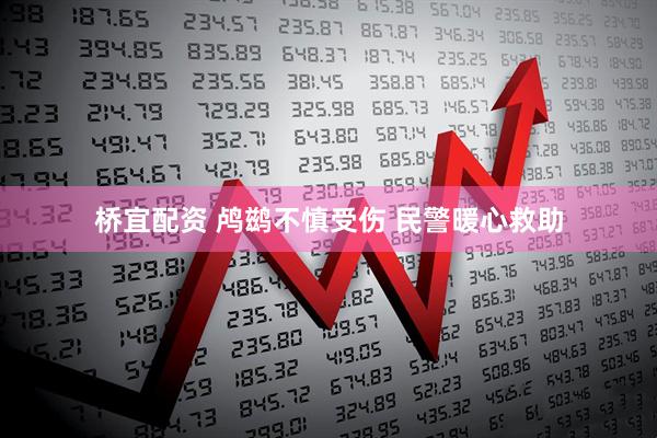 桥宜配资 鸬鹚不慎受伤 民警暖心救助