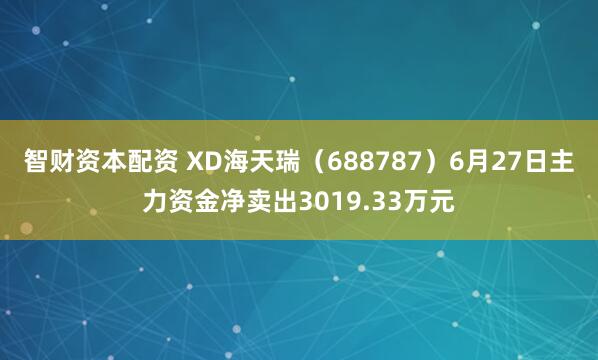 智财资本配资 XD海天瑞（688787）6月27日主力资金净卖出3019.33万元